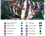 2021-22 Mt. Jefferson Trail Map