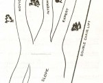 King Pine 1962-63 Trail Map
