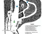 2022-23 Storrs Hill Trail Map