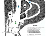 2025-26 Storrs Hill Trail Map