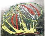 2000-01 Whaleback Trail Map
