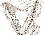 1973-74 Bolton Valley trail map