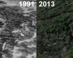 Lakeridge Ski Area Aerial Imagery, 1991 vs. 2013