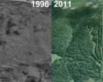 Big Rock Aerial Imagery, 1996 vs. 2011