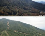 Baron's Run from Bald Mountain, September 2013 vs. September 2014