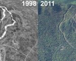 Ragged Mountain Aerial Imagery, 1998 vs. 2011