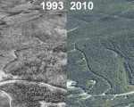 Dutch Hill Aerial Imagery, 1993 vs. 2010