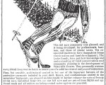 November 16, 1969 Boston Globe