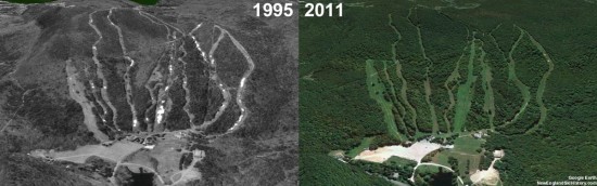 Butternut Aerial Imagery, 1995 vs. 2011