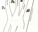 King Pine 1962-63 Trail Map