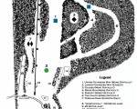 2021-22 Storrs Hill Trail Map