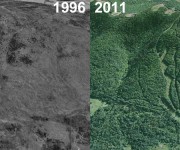 Big Rock Aerial Imagery, 1996 vs. 2011