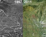 Sugarloaf Aerial Imagery, 1997 vs. 2011