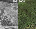 Berkshire Snow Basin Aerial Imagery, 1992 vs. 2008
