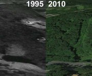 Jericho Hill Aerial Imagery, 1995 vs. 2010