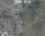 Pico Aerial Imagery, 1994 vs. 2010