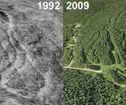 Snow Valley Aerial Imagery, 1992 vs. 2009